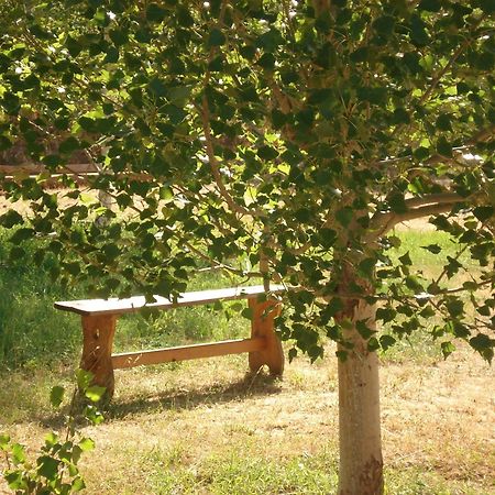 Masia El Carcaba - Moli Del Pont. Cornudella de Montsant Buitenkant foto