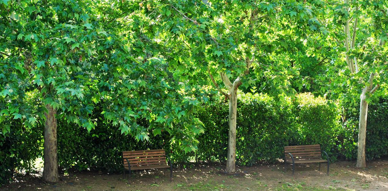 Masia El Carcaba - Moli Del Pont. Cornudella de Montsant Buitenkant foto