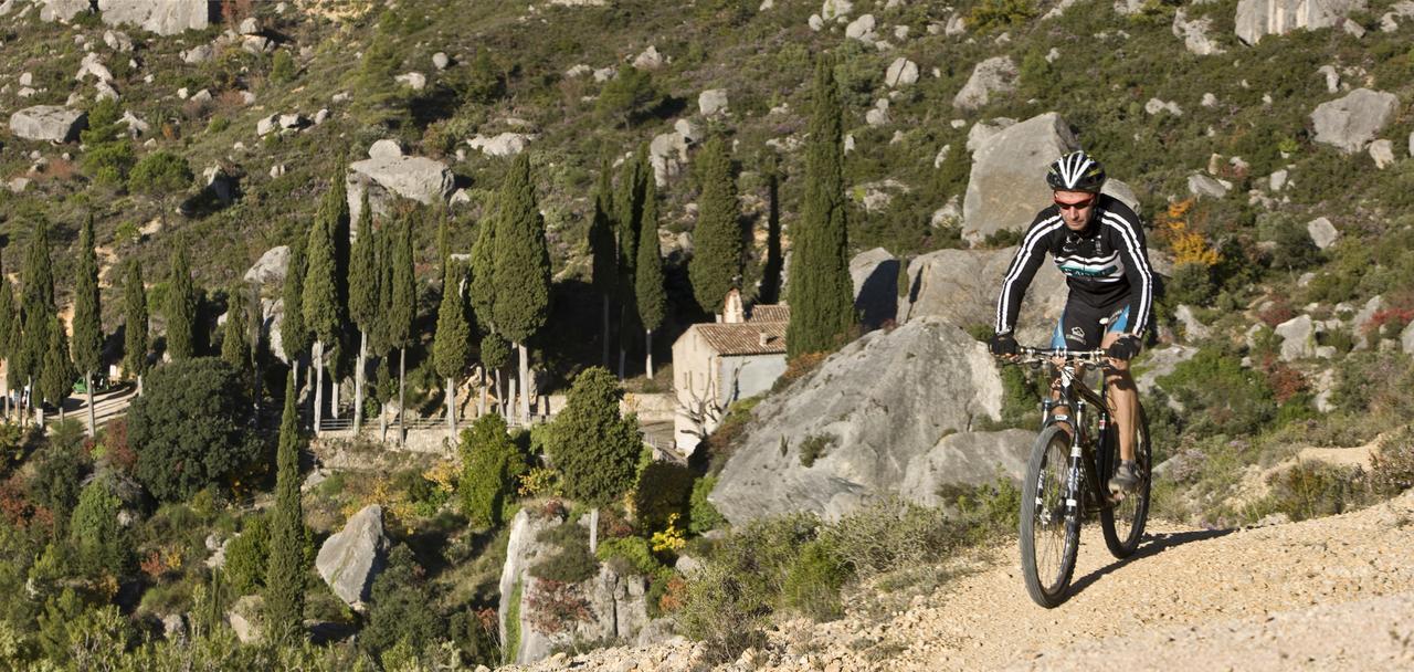 Masia El Carcaba - Moli Del Pont. Cornudella de Montsant Buitenkant foto