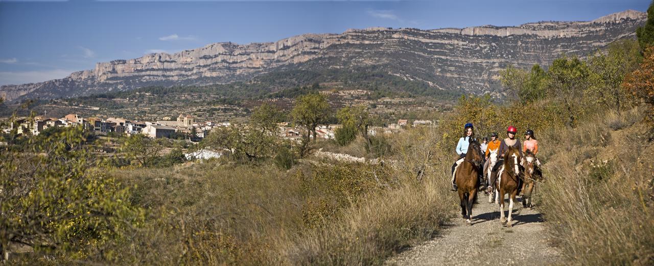 Masia El Carcaba - Moli Del Pont. Cornudella de Montsant Buitenkant foto